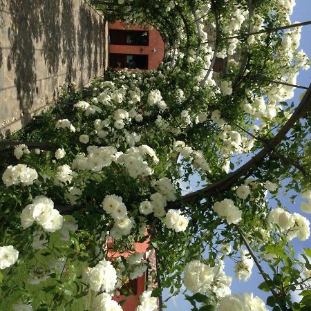 Agriturismo Casale Le Selvette Ripa Eksteriør billede