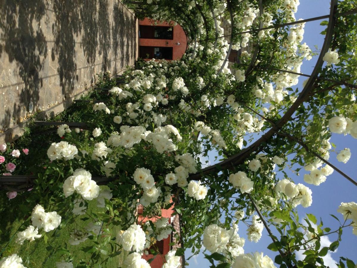 Agriturismo Casale Le Selvette Ripa Eksteriør billede