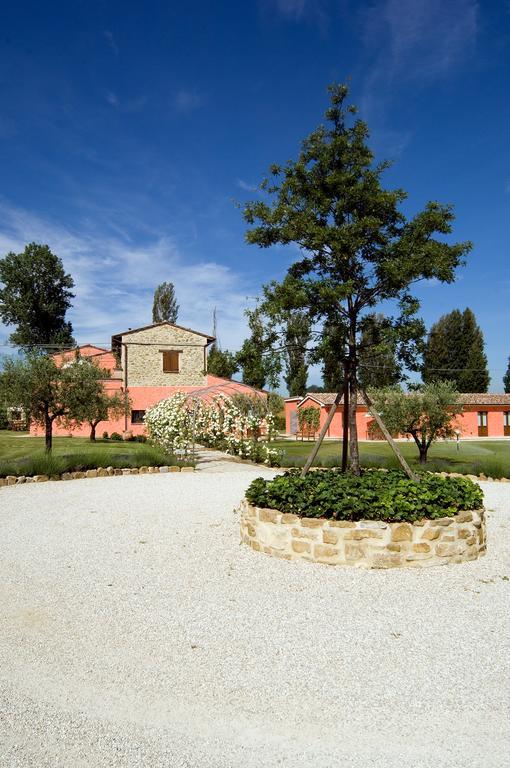 Agriturismo Casale Le Selvette Ripa Eksteriør billede