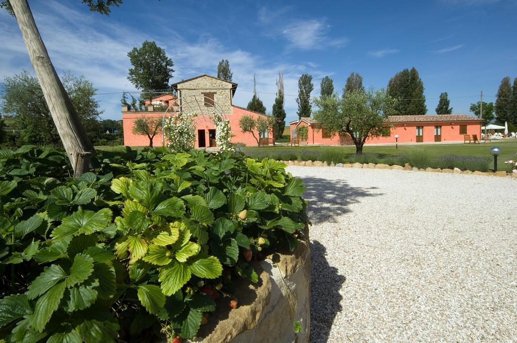 Agriturismo Casale Le Selvette Ripa Eksteriør billede