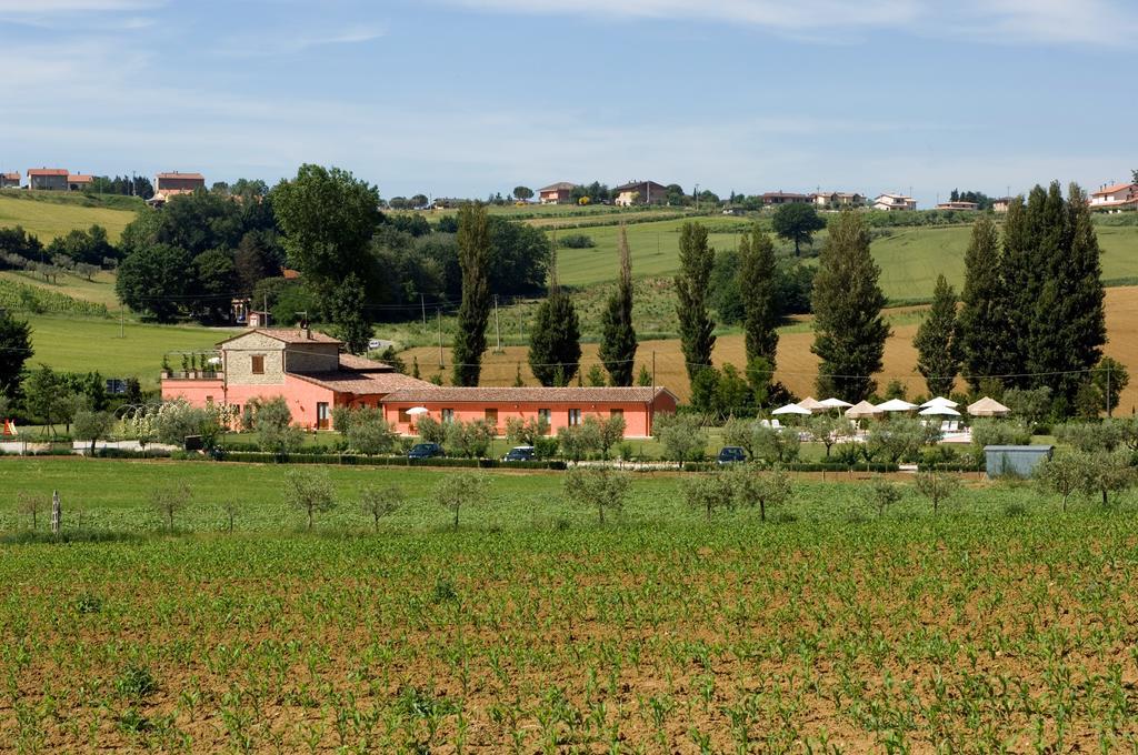 Agriturismo Casale Le Selvette Ripa Eksteriør billede