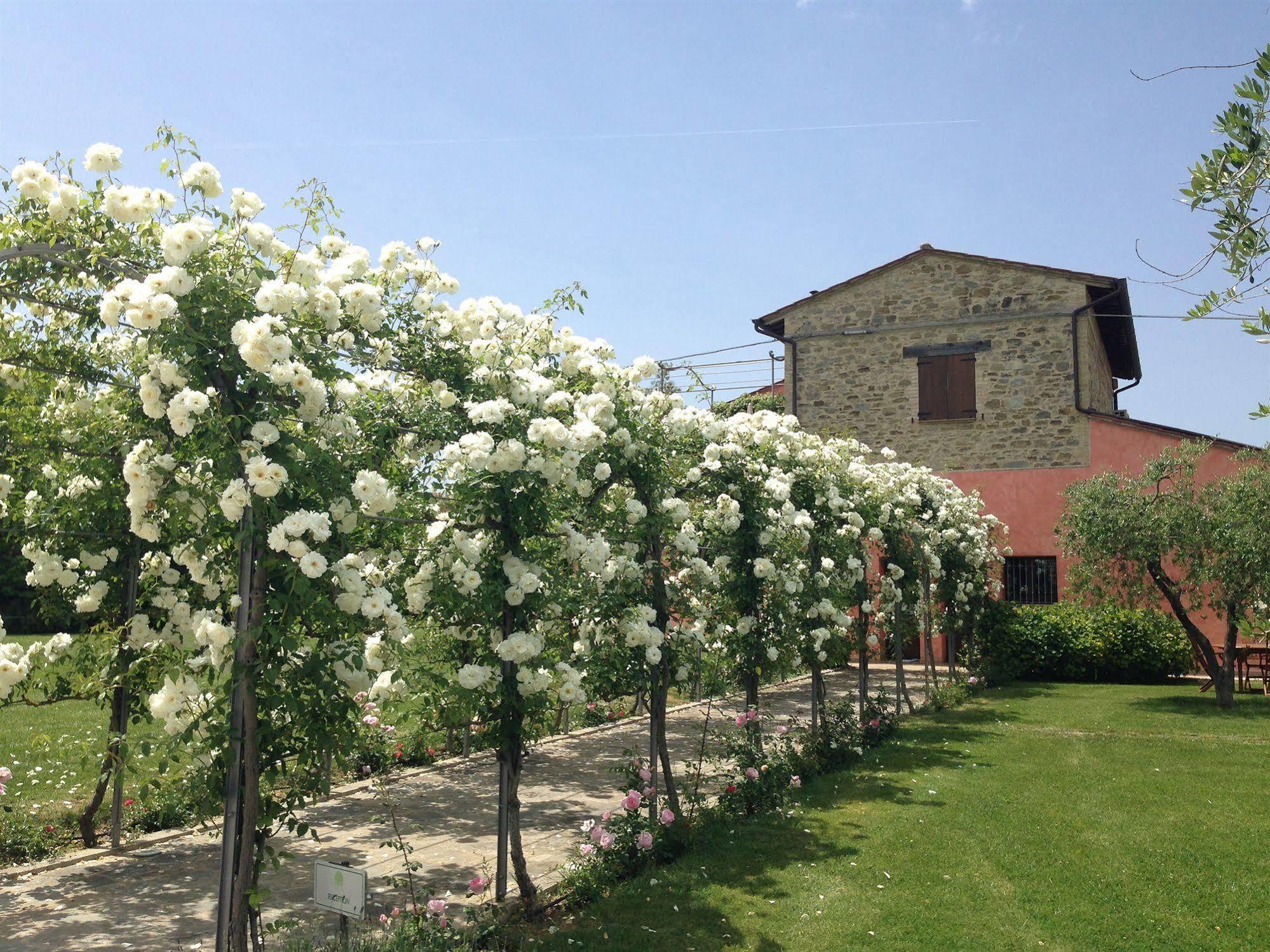 Agriturismo Casale Le Selvette Ripa Eksteriør billede
