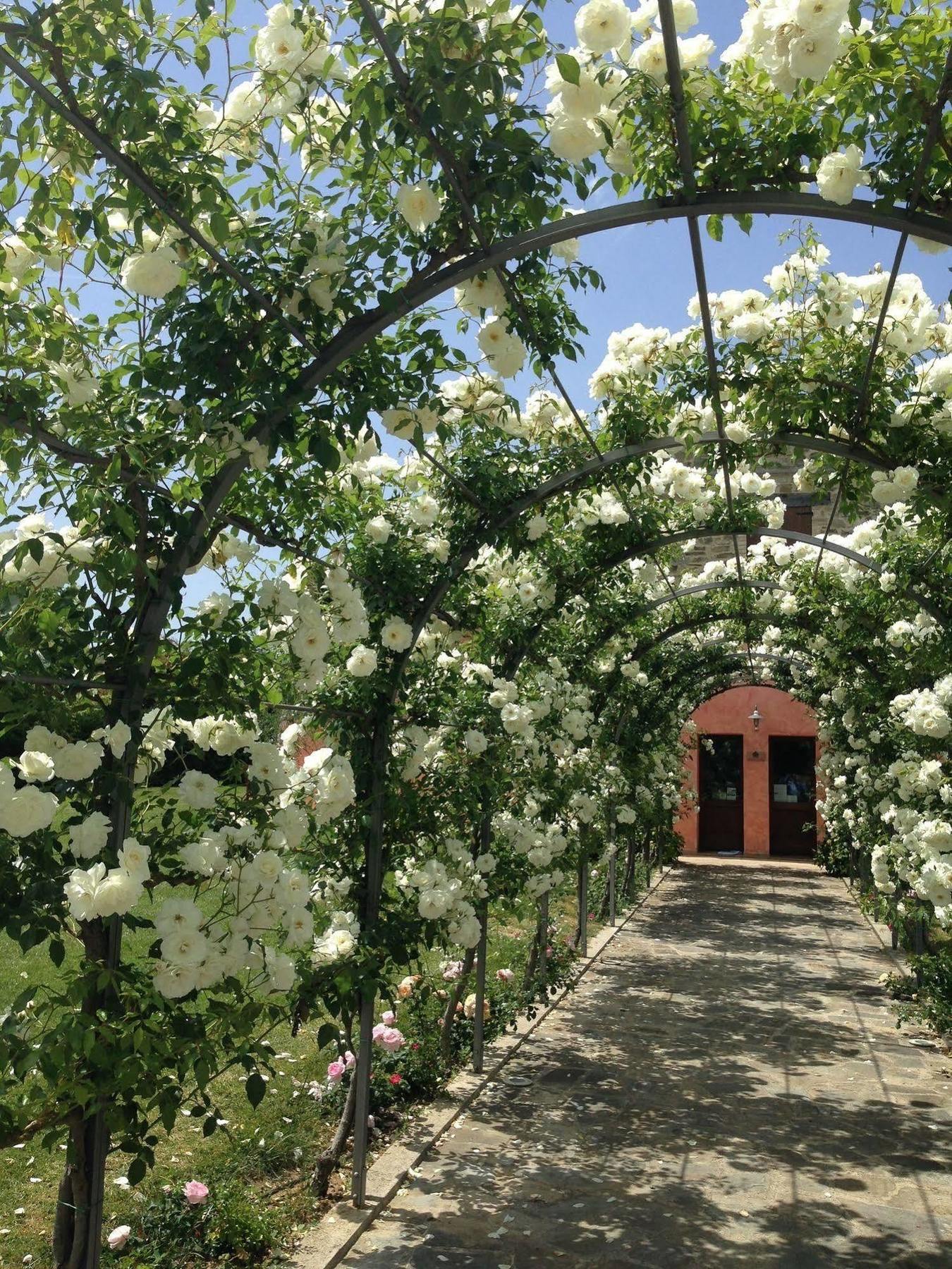 Agriturismo Casale Le Selvette Ripa Eksteriør billede